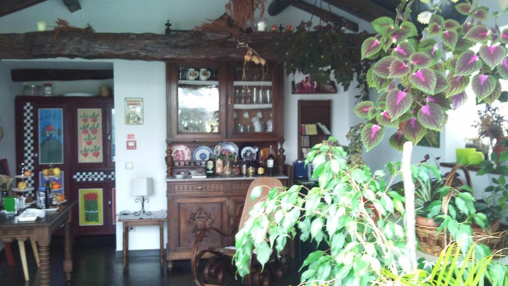Rural Casa Roja